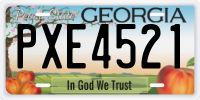 GA license plate PXE4521