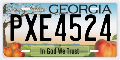 GA license plate PXE4524
