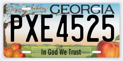 GA license plate PXE4525