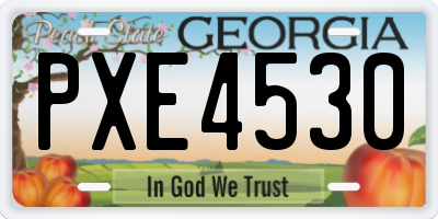 GA license plate PXE4530