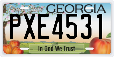 GA license plate PXE4531