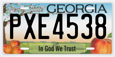 GA license plate PXE4538