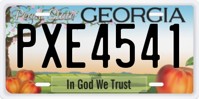 GA license plate PXE4541