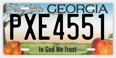 GA license plate PXE4551