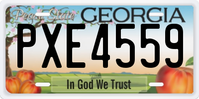 GA license plate PXE4559