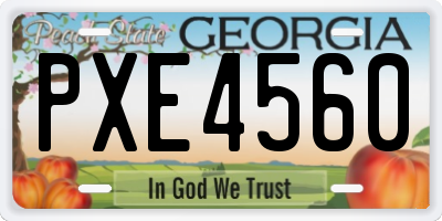 GA license plate PXE4560