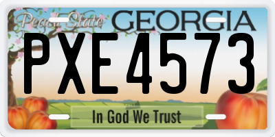 GA license plate PXE4573