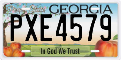 GA license plate PXE4579