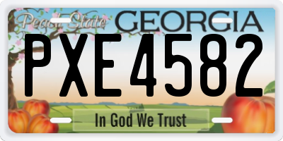 GA license plate PXE4582