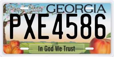 GA license plate PXE4586