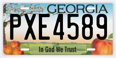GA license plate PXE4589