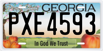 GA license plate PXE4593