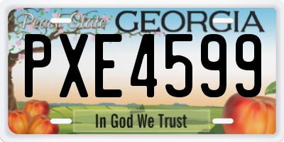 GA license plate PXE4599