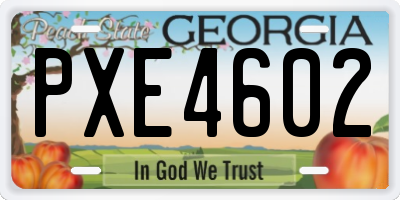 GA license plate PXE4602