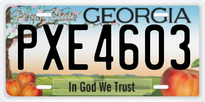 GA license plate PXE4603