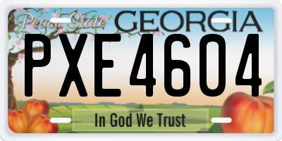 GA license plate PXE4604