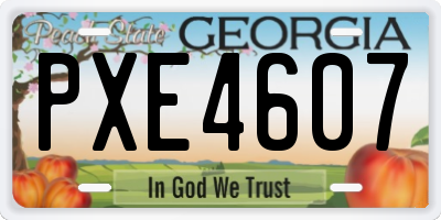 GA license plate PXE4607