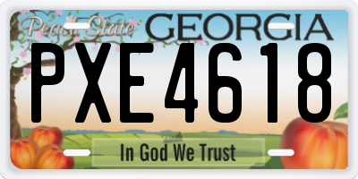 GA license plate PXE4618