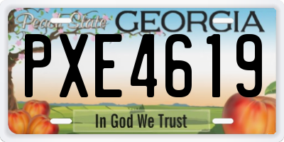 GA license plate PXE4619