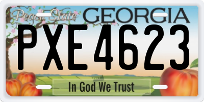 GA license plate PXE4623