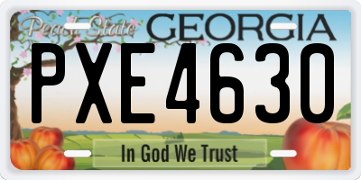 GA license plate PXE4630