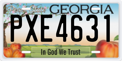 GA license plate PXE4631