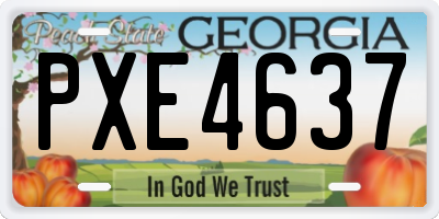 GA license plate PXE4637