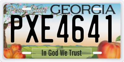GA license plate PXE4641