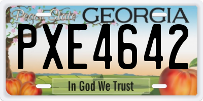 GA license plate PXE4642