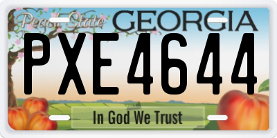 GA license plate PXE4644