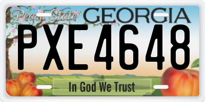 GA license plate PXE4648