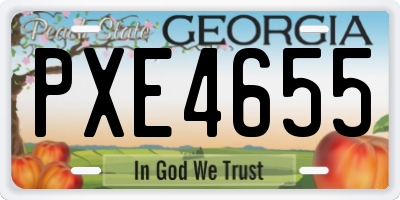 GA license plate PXE4655