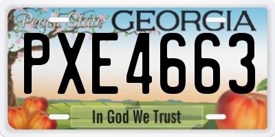 GA license plate PXE4663