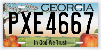 GA license plate PXE4667