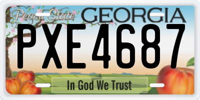 GA license plate PXE4687