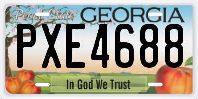 GA license plate PXE4688