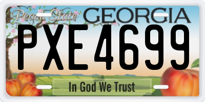 GA license plate PXE4699