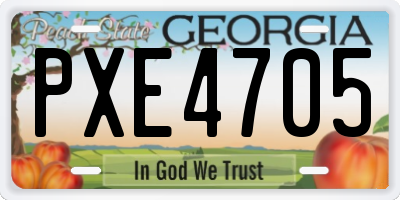 GA license plate PXE4705