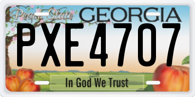 GA license plate PXE4707