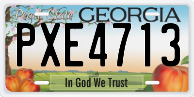 GA license plate PXE4713