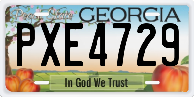 GA license plate PXE4729