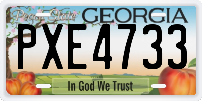 GA license plate PXE4733
