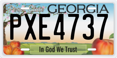 GA license plate PXE4737