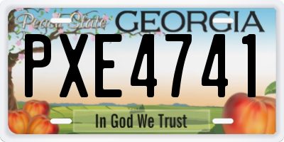 GA license plate PXE4741