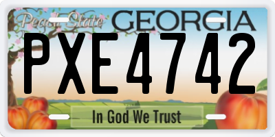 GA license plate PXE4742