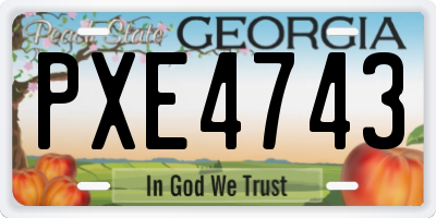 GA license plate PXE4743