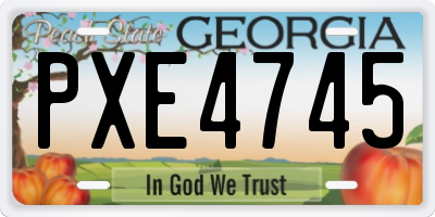 GA license plate PXE4745