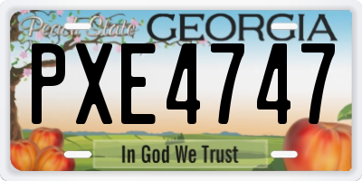 GA license plate PXE4747