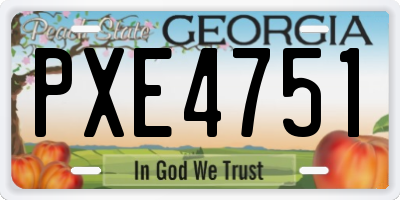 GA license plate PXE4751