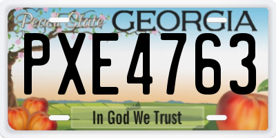 GA license plate PXE4763